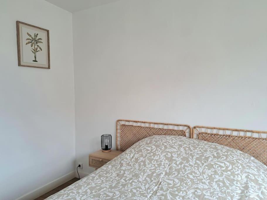 Apartament Magnifique T3 Avec Balcon Au Pied Du Metro Colbert Tourcoing Zewnętrze zdjęcie